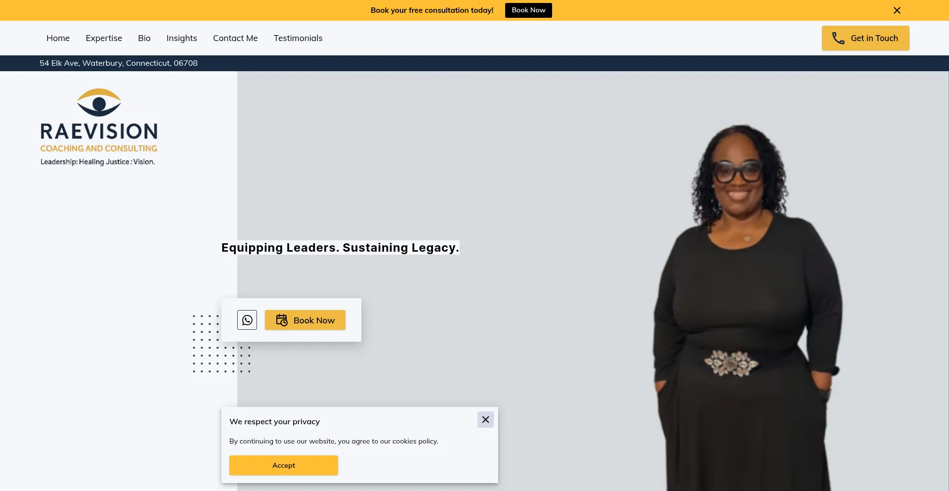 Raevisionconsulting.com