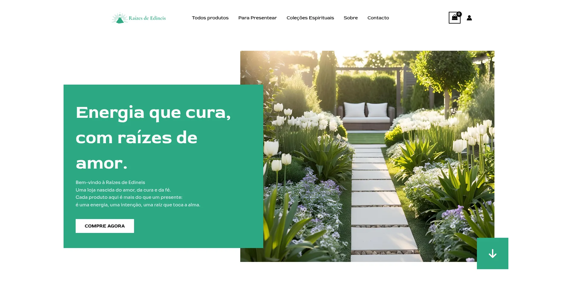 Raizesedineis.com