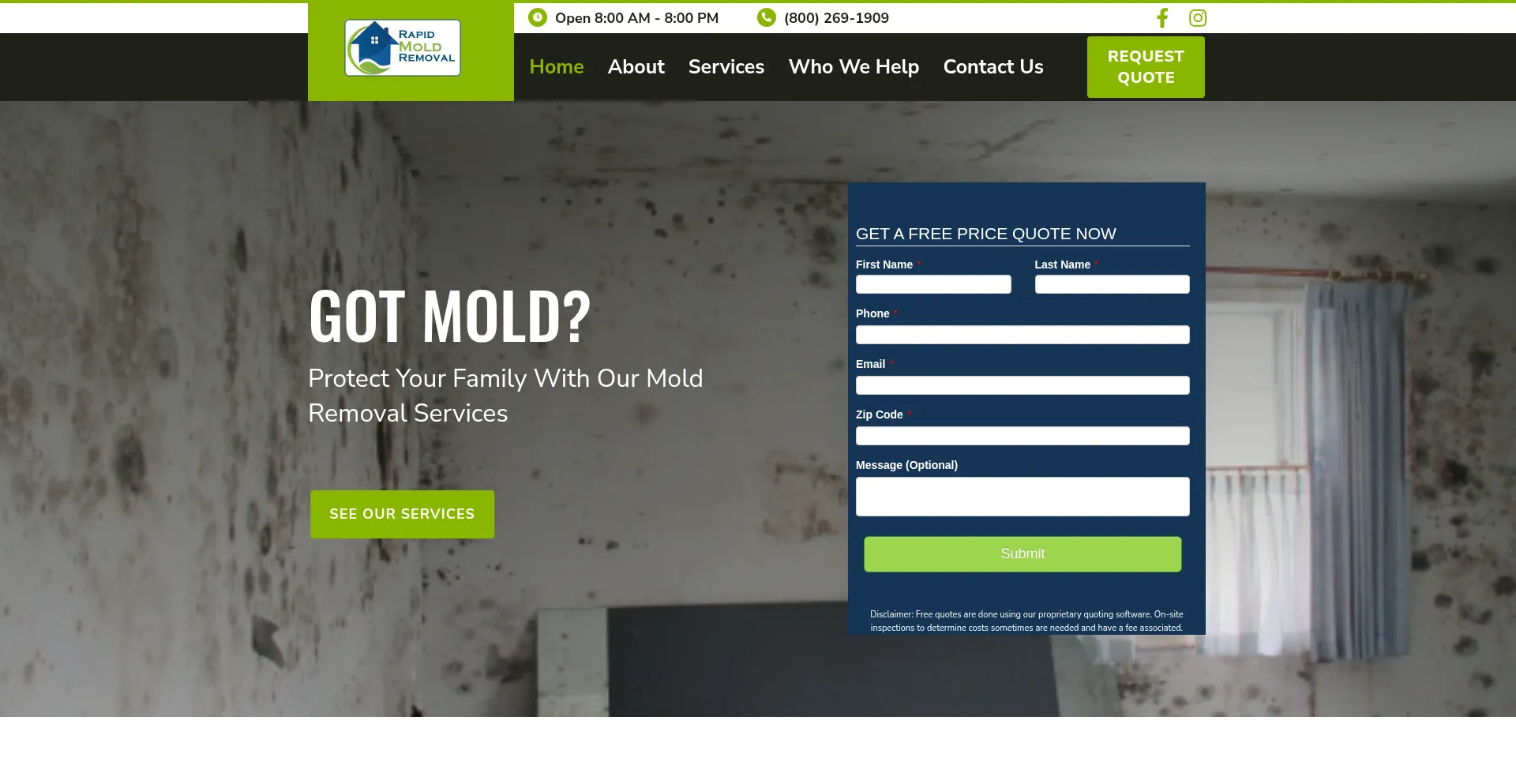 Website screenshot of Rapidmoldremoval.com
