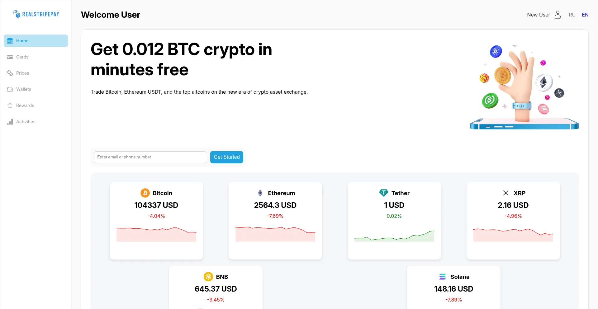 Website screenshot of Realstripepay.com