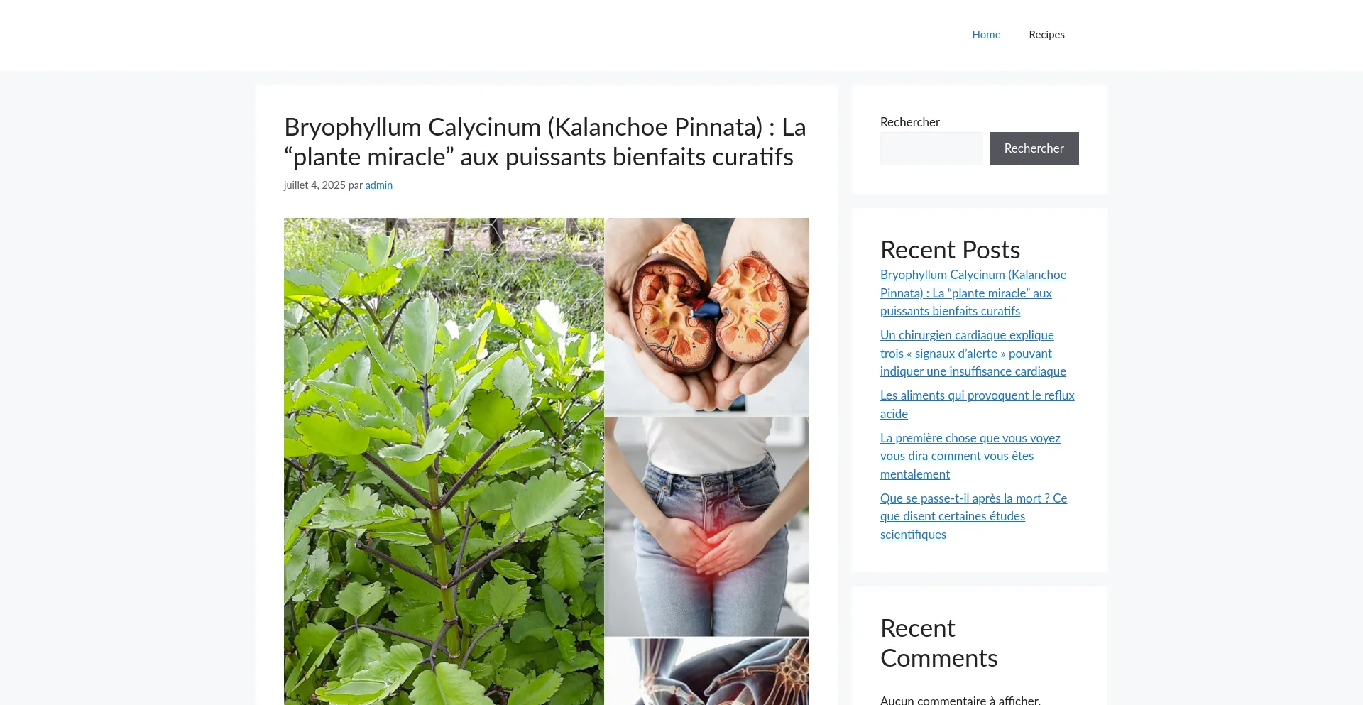 Website screenshot of Recettefacile-a.asckat.com