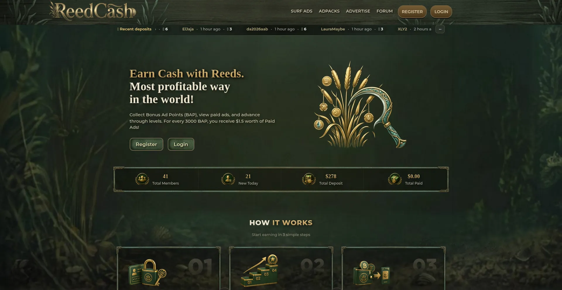 Reedcash.com