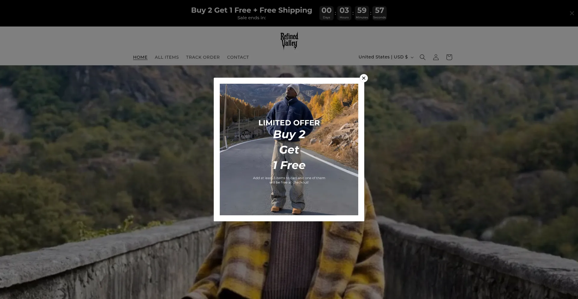 Website screenshot of Refinedvalley.com