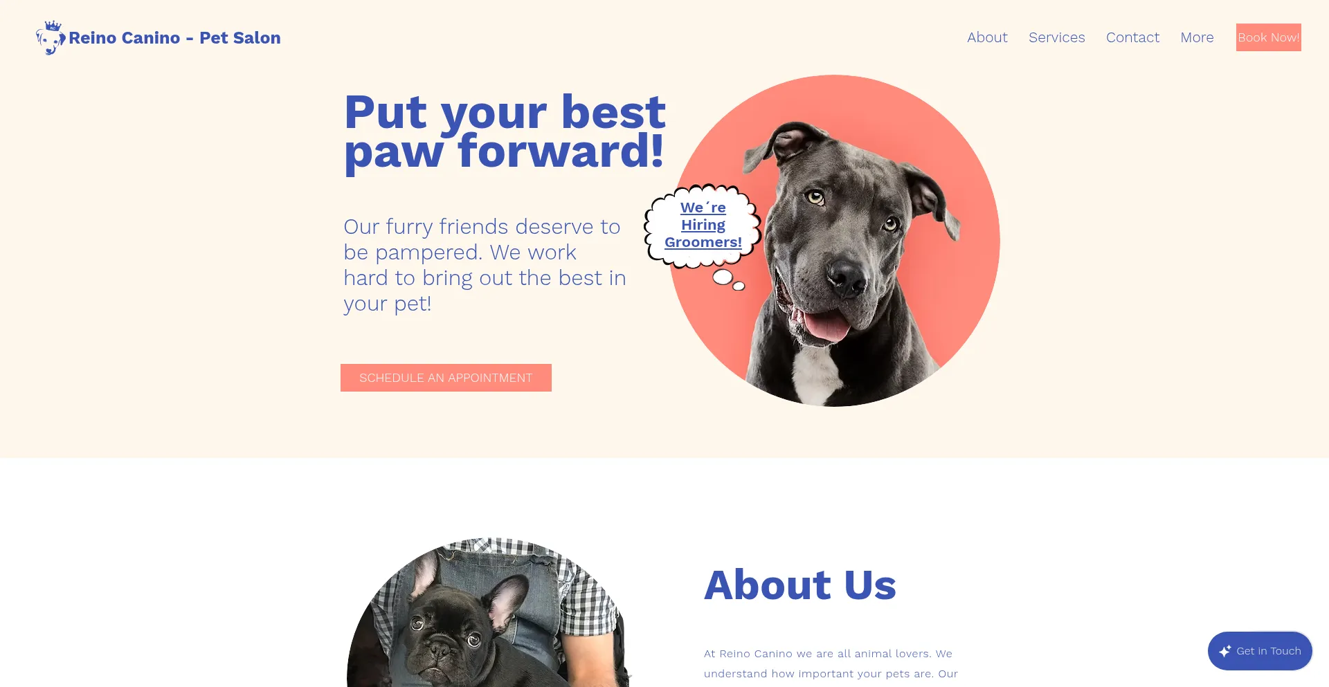 Website screenshot of Reinocanino.com