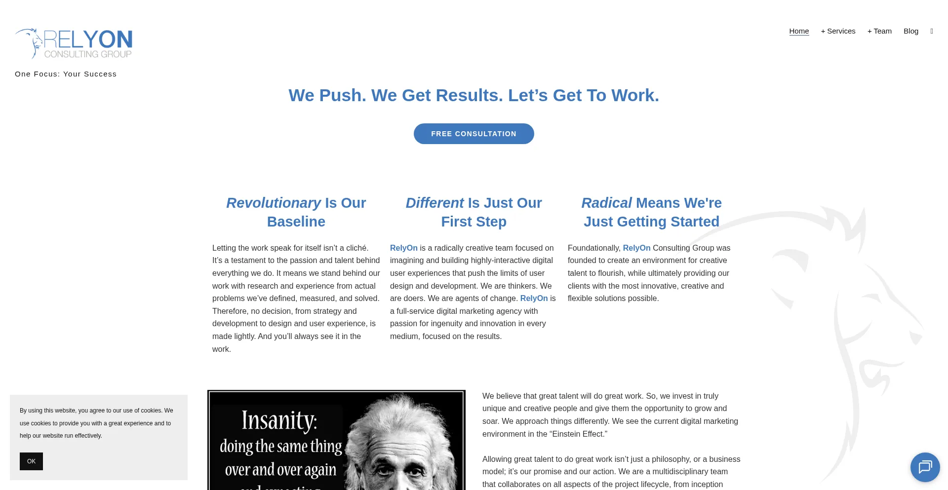 Website screenshot of Relyon.agency