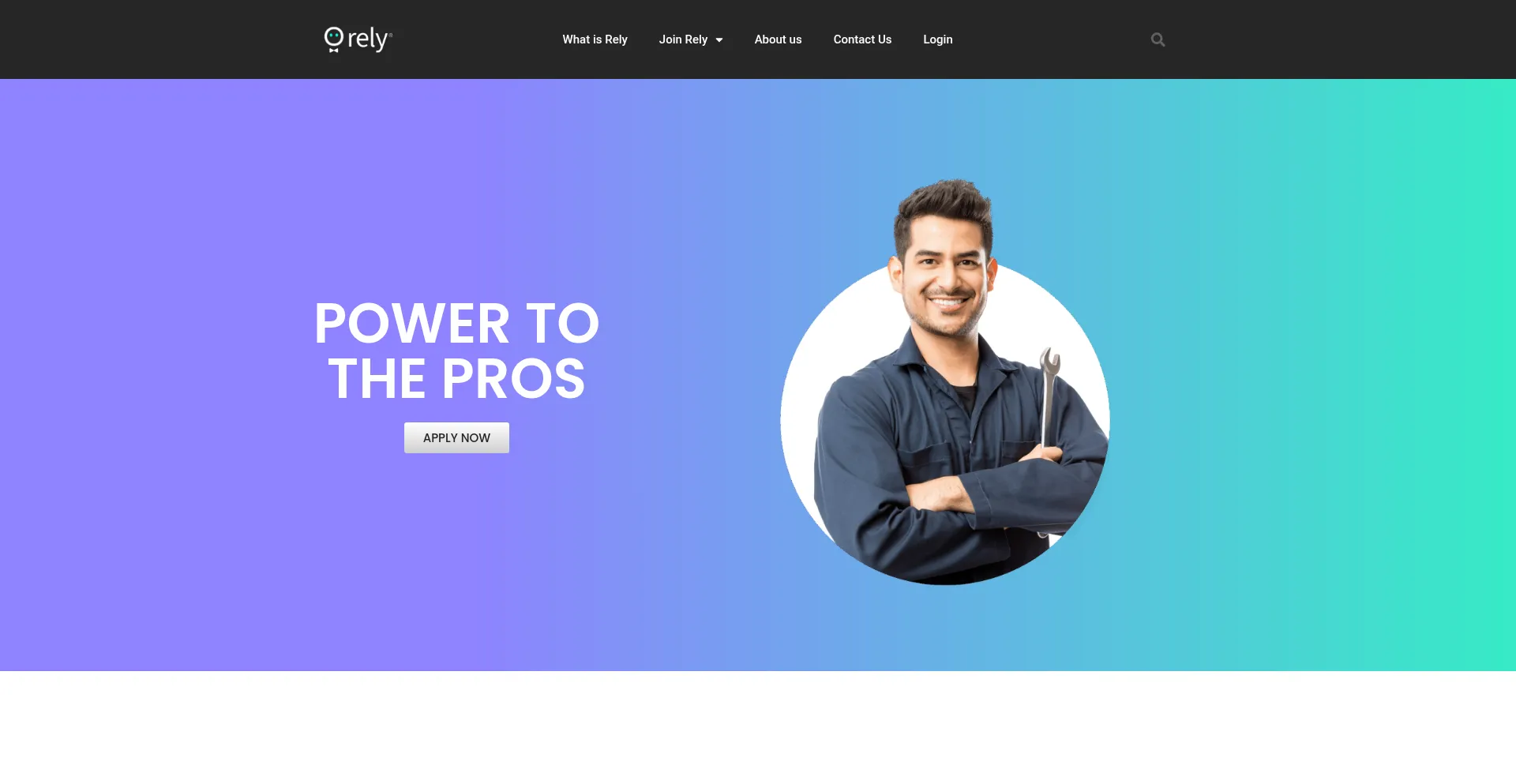 Relypros.com Screenshot