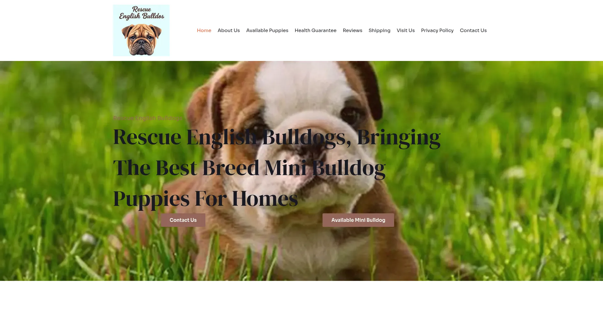 Rescueenglishbulldogs.com