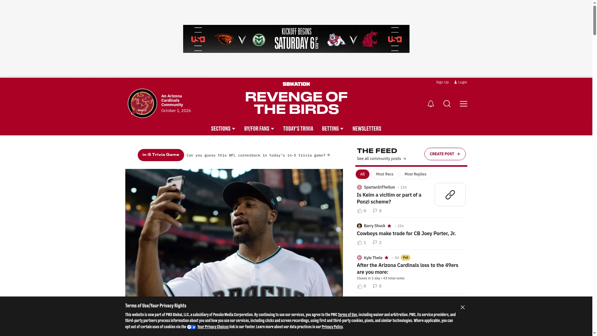 Revengeofthebirds.com