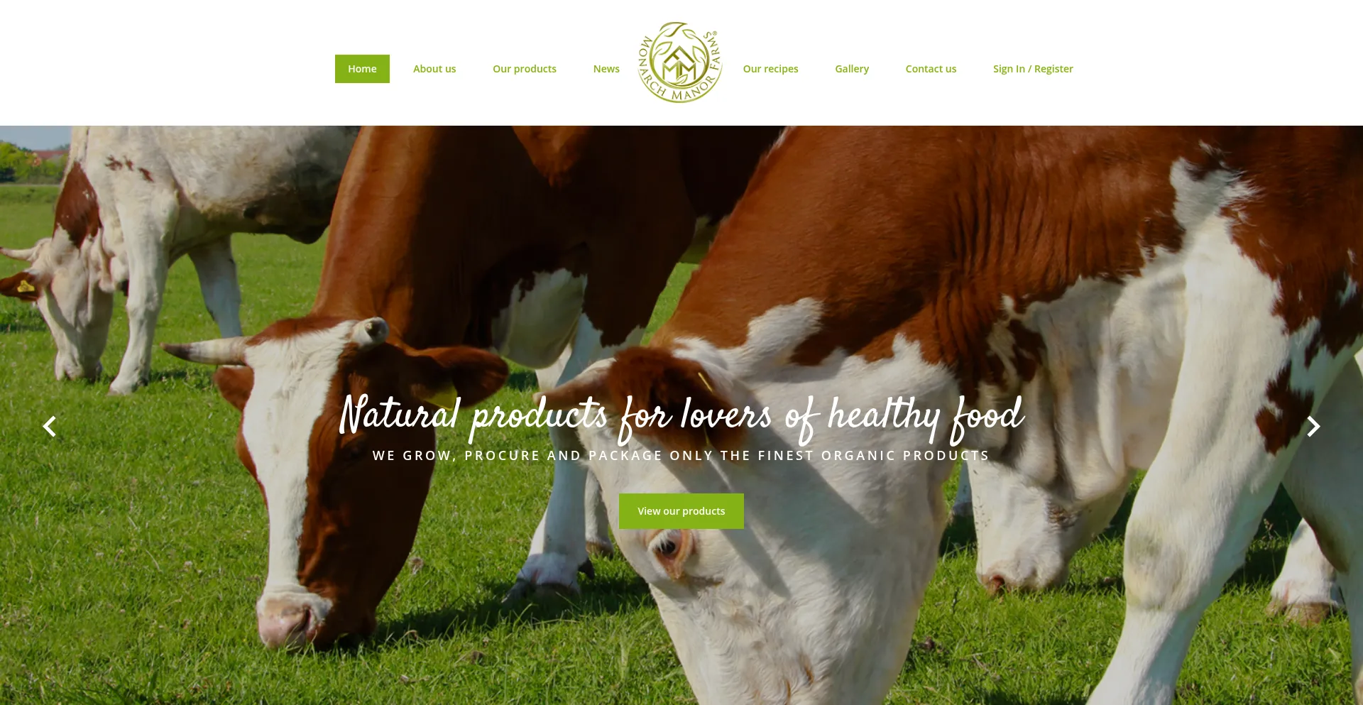 Website screenshot of Ricknappi.com