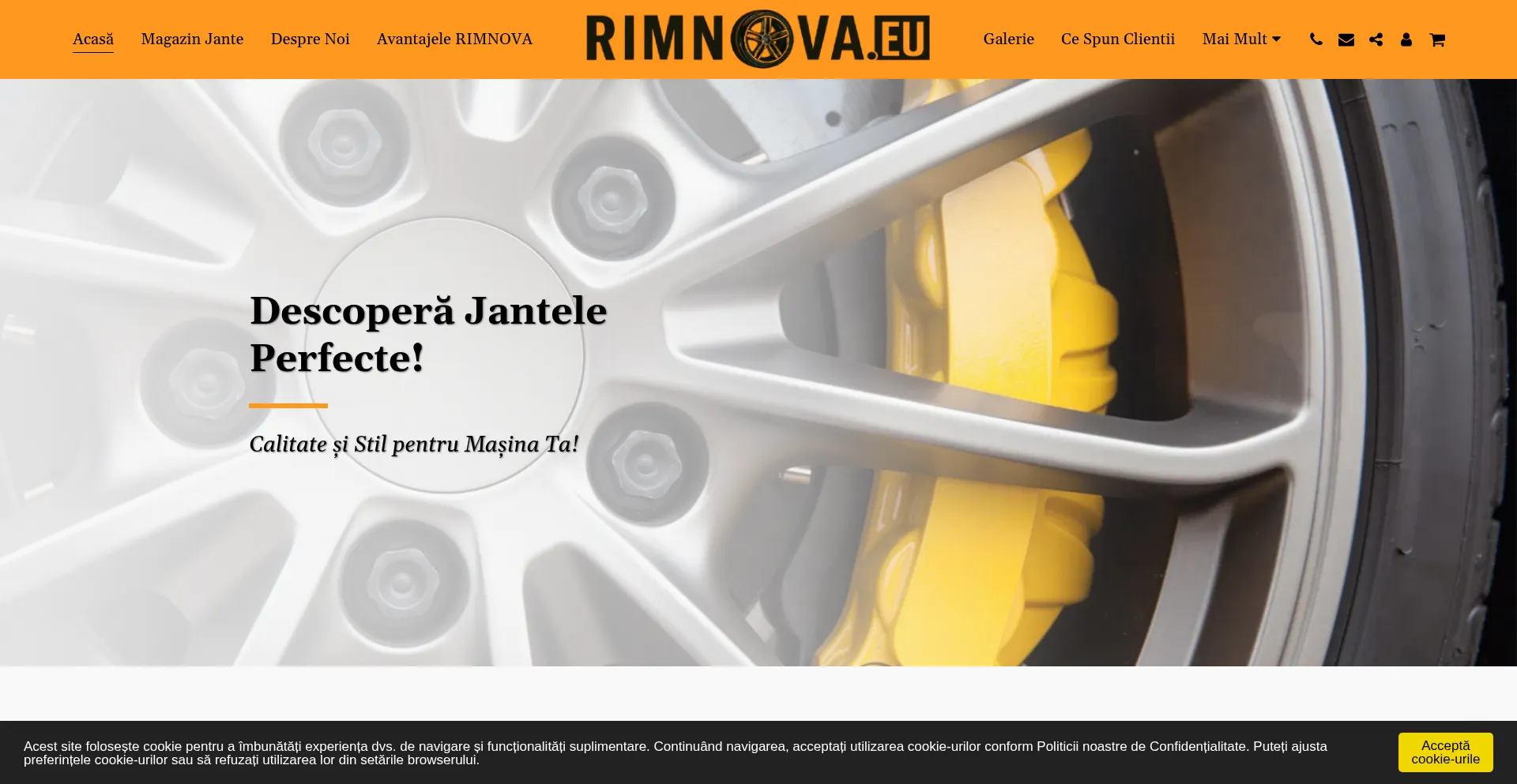 Website screenshot of Rimnova.eu