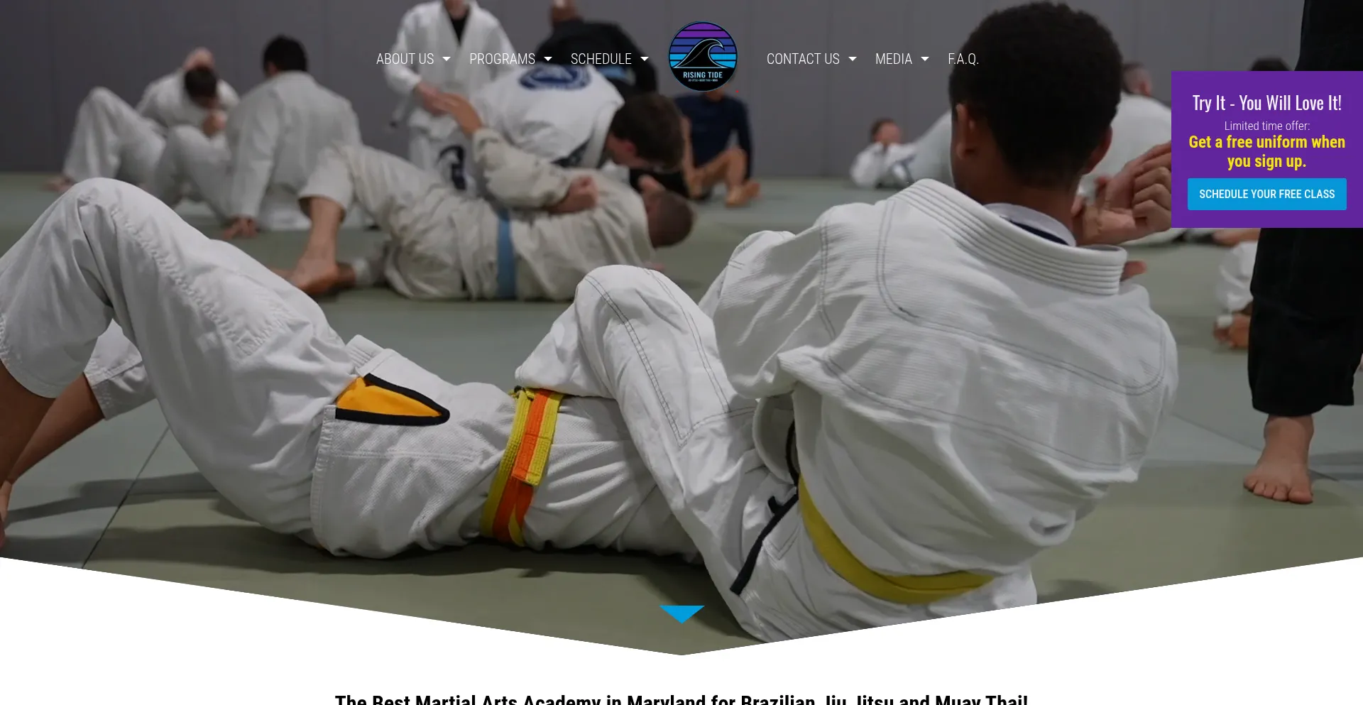Ist Risingtidemartialarts.us sicher und vertrauenswürdig?
