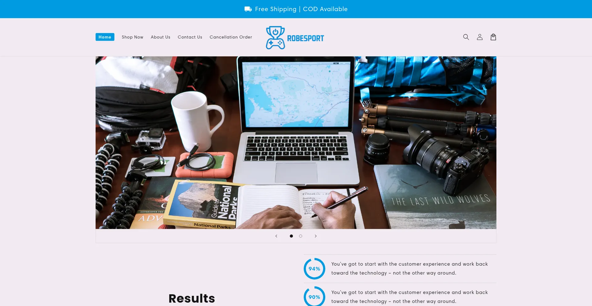 Website screenshot of Robesport.com