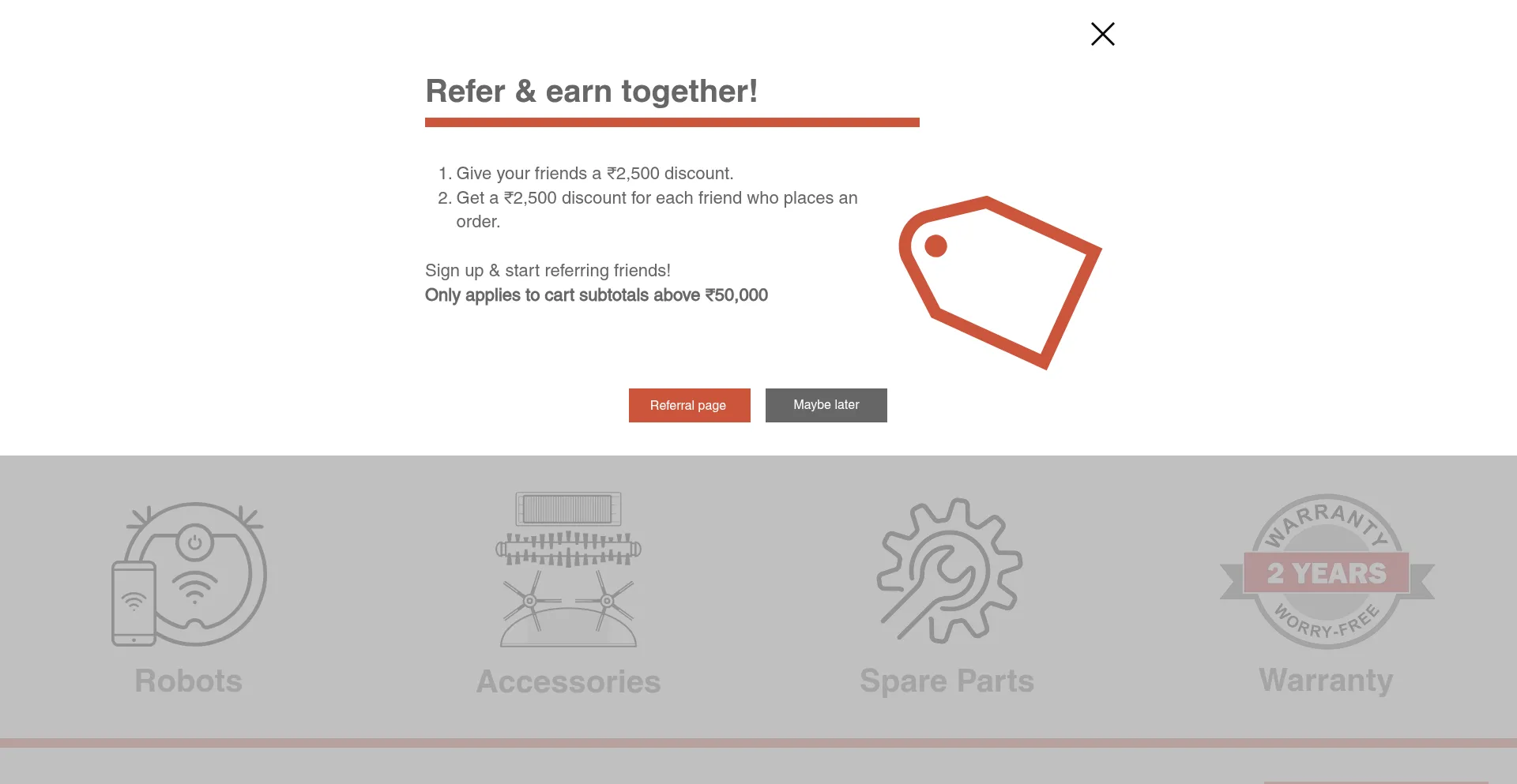 Website screenshot of Roborockindia.com