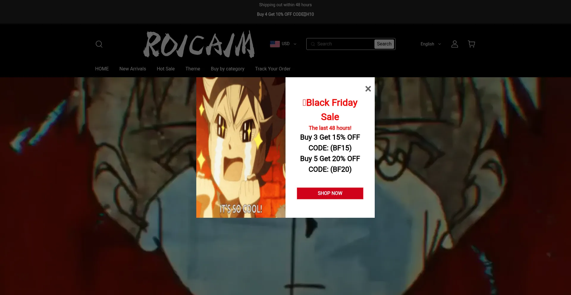 Roicaim.com