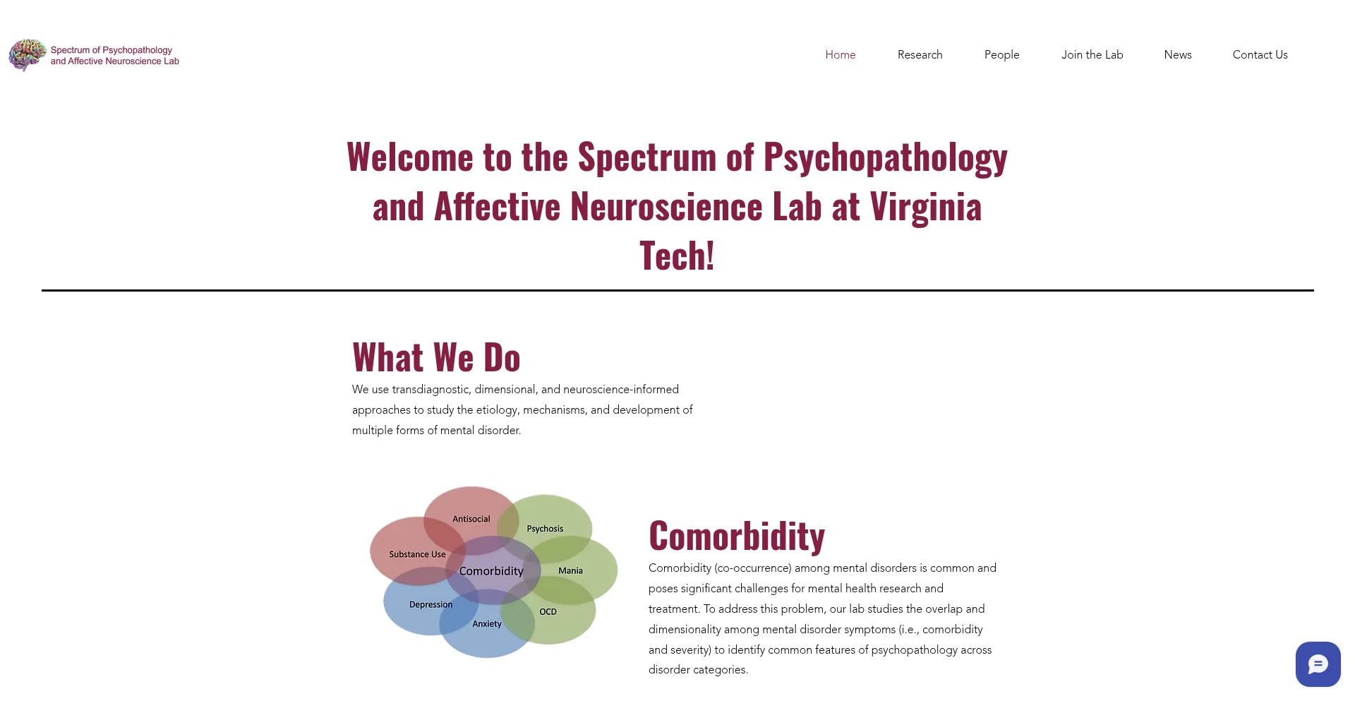 Website screenshot of Romer-spanlab.com