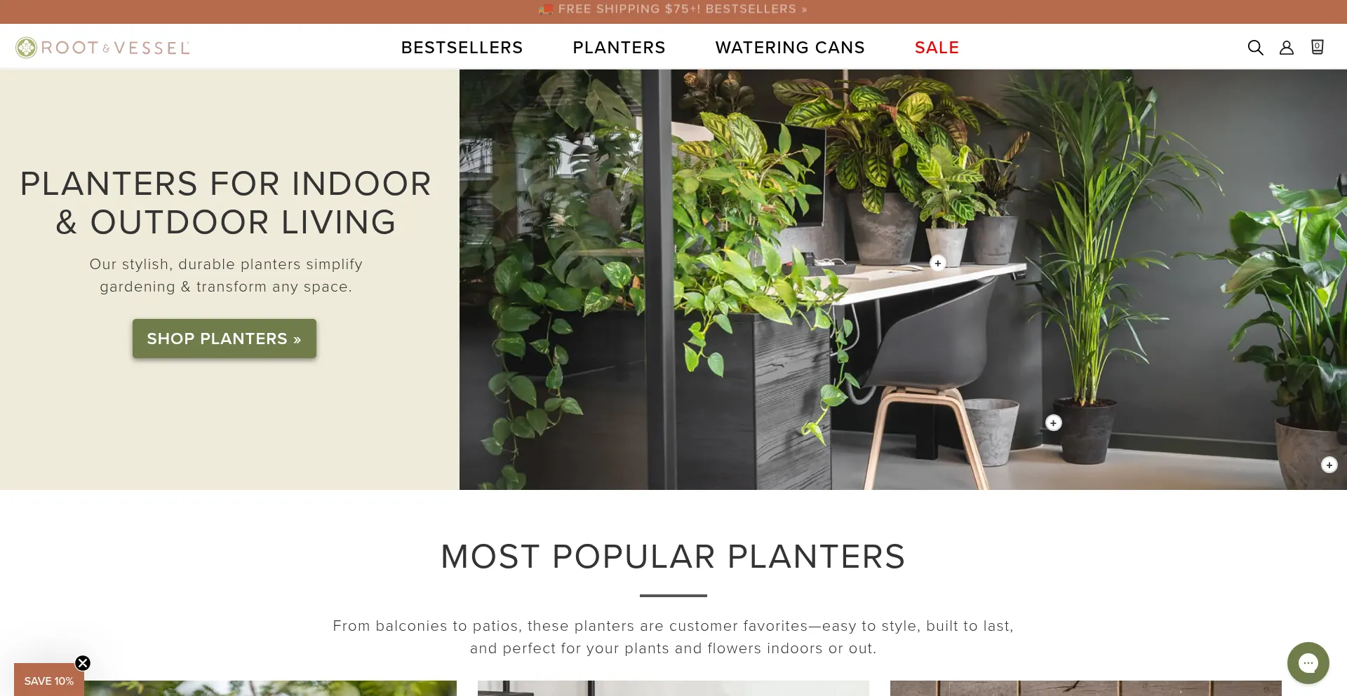 Rootandvessel.com