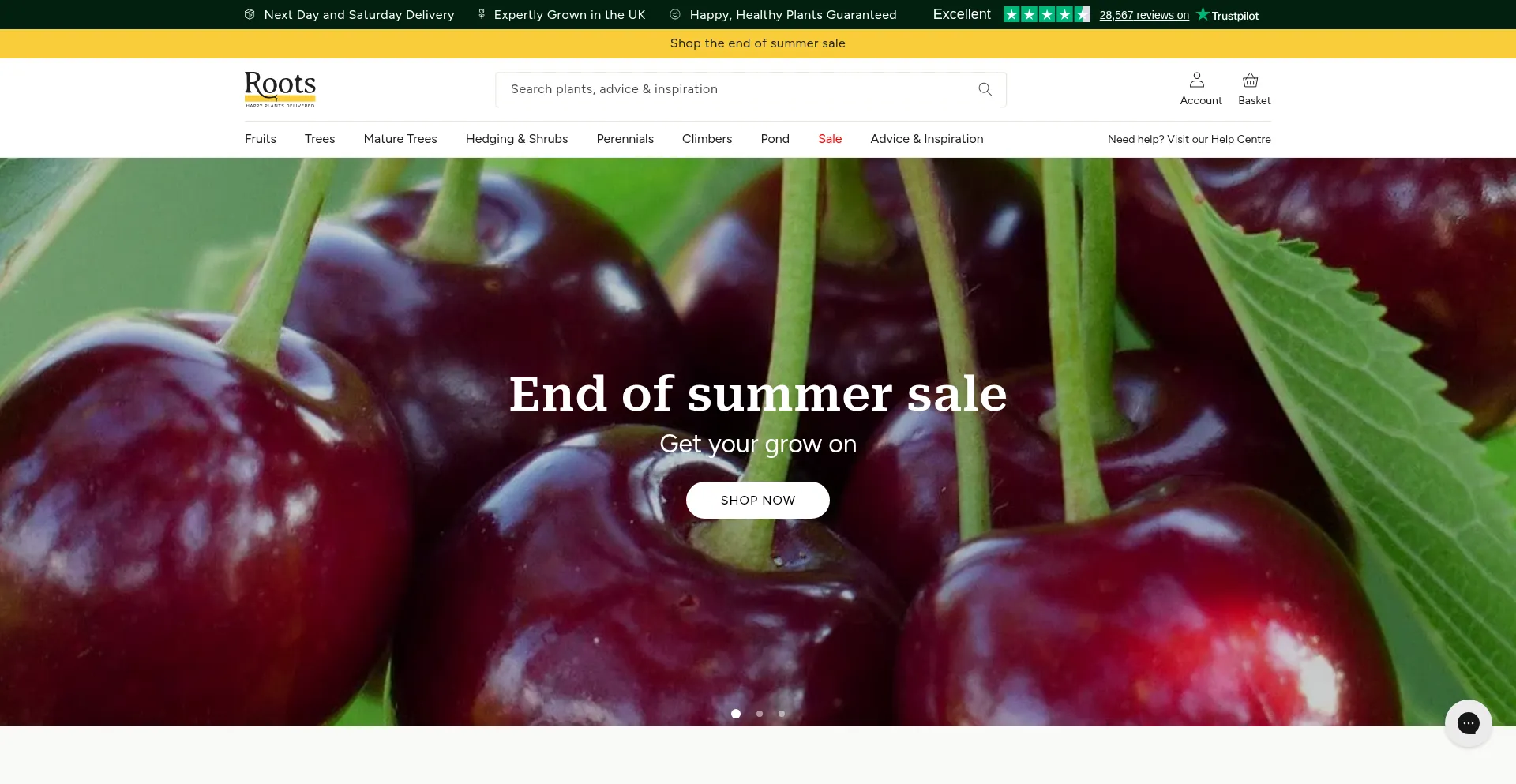 Rootsplants.co.uk Screenshot