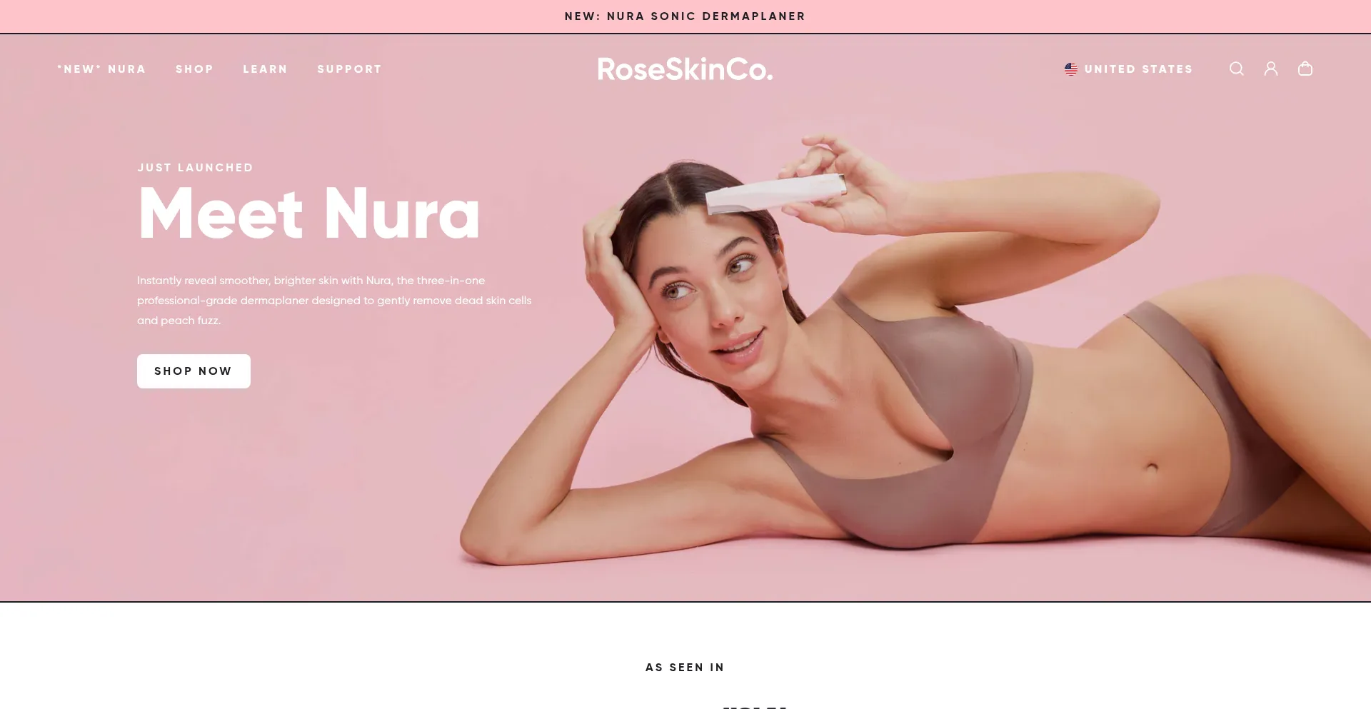 Website screenshot of Roseskinco.com