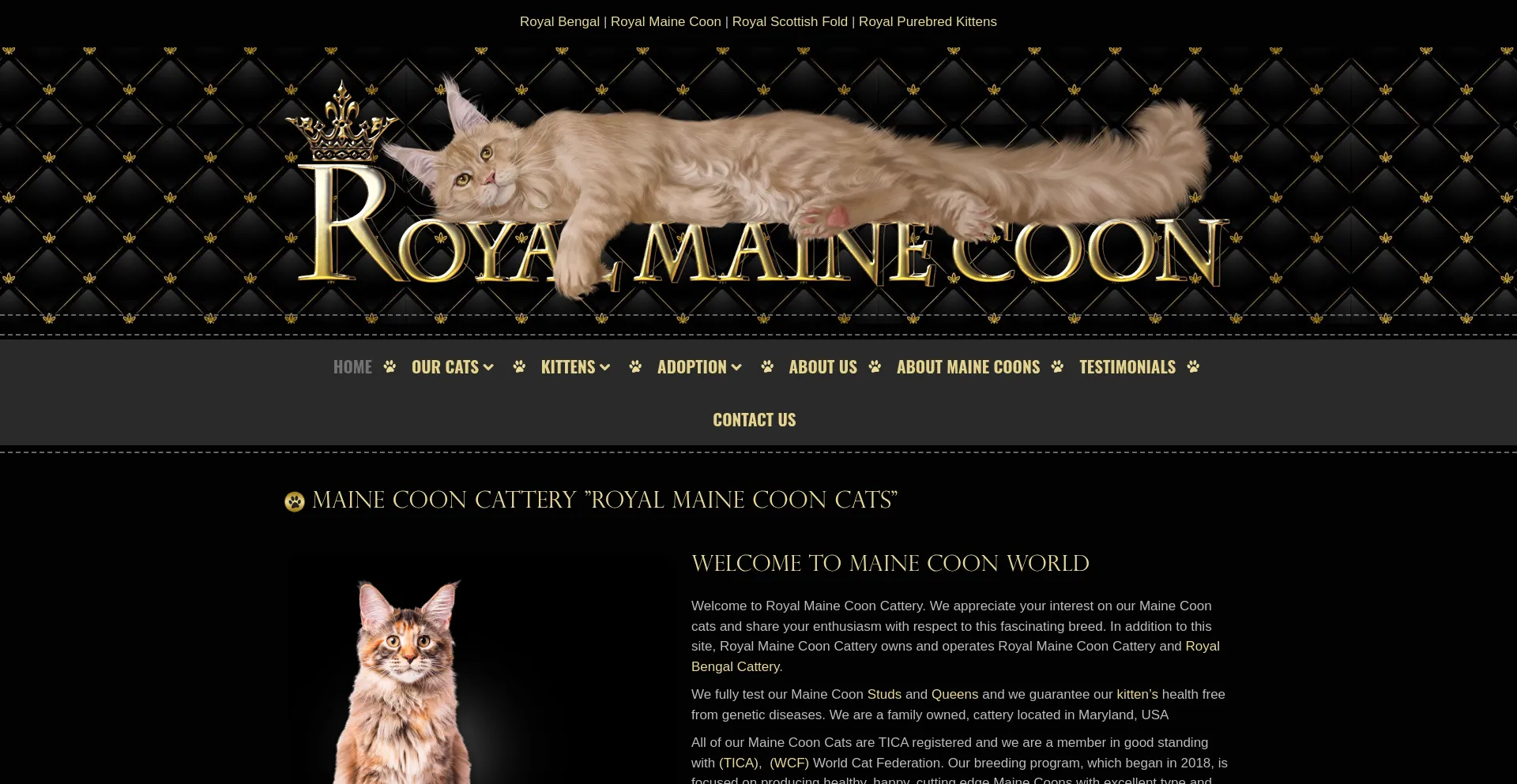 Royalmainecooncattery.com