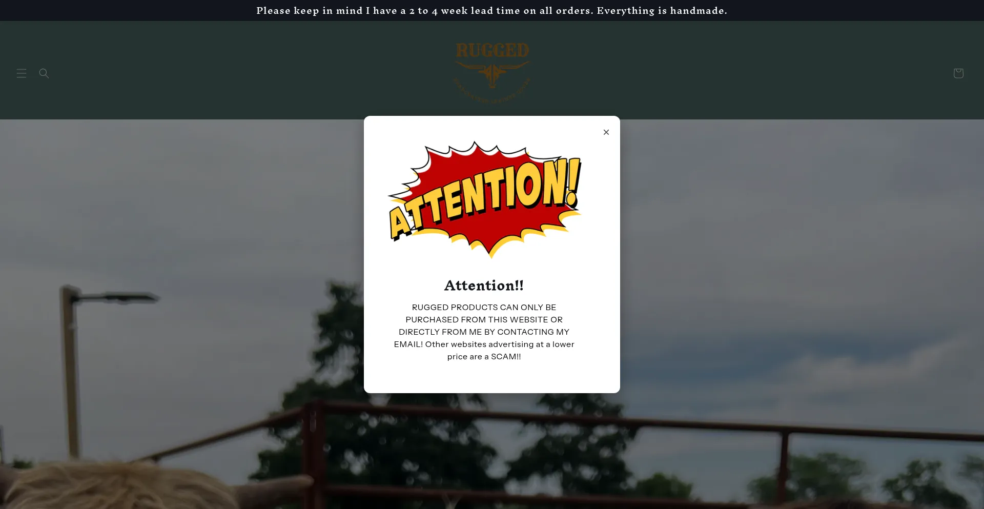 Ist Ruggedtx.com sicher und vertrauenswürdig?