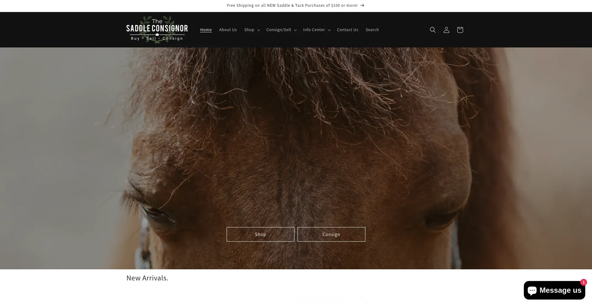 Website screenshot of Saddleconsignor.com
