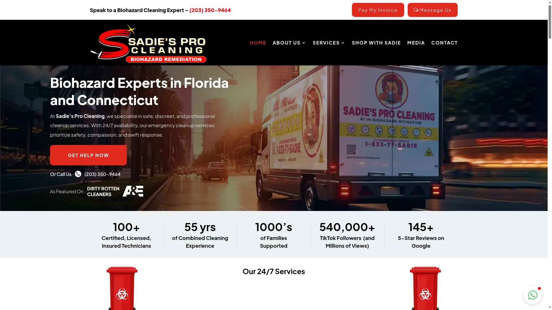 Sadiesprocleaning.com