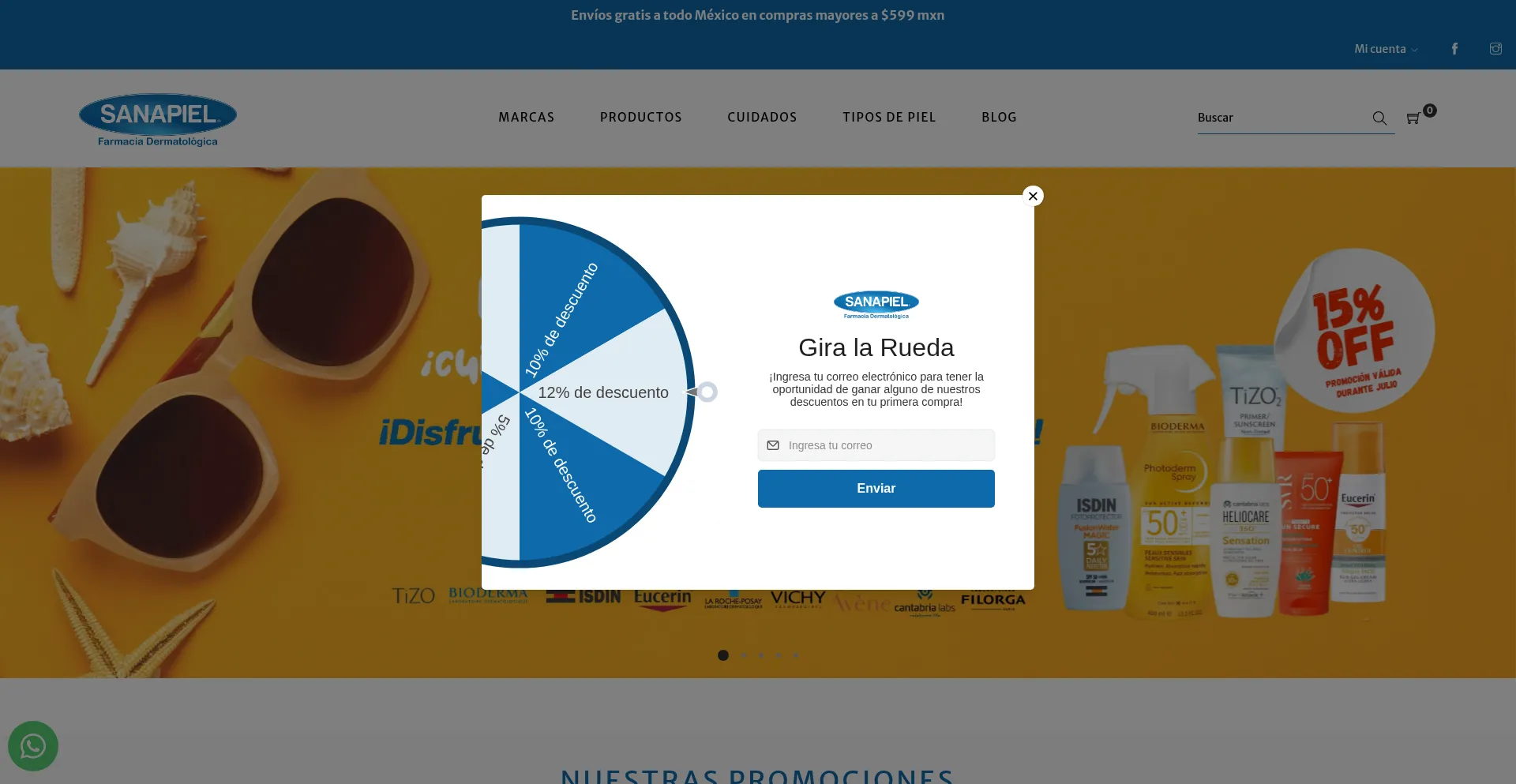 Website screenshot of Sanapiel.com.mx