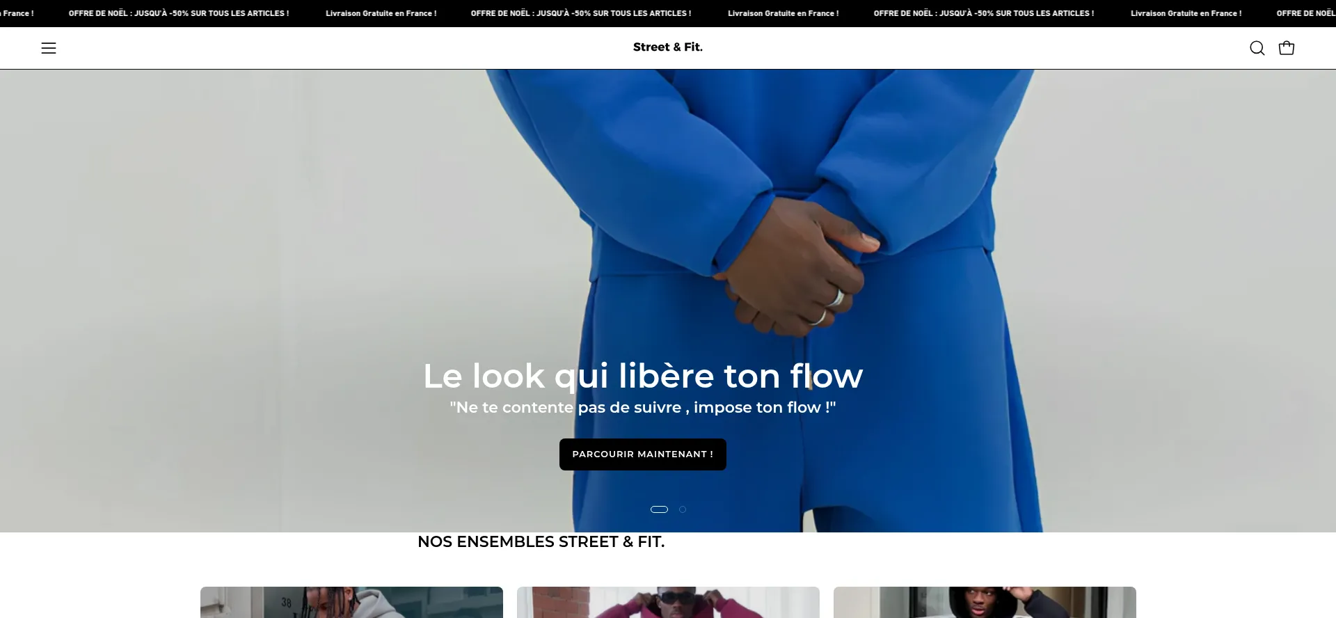 Website screenshot of Sanaryx.com