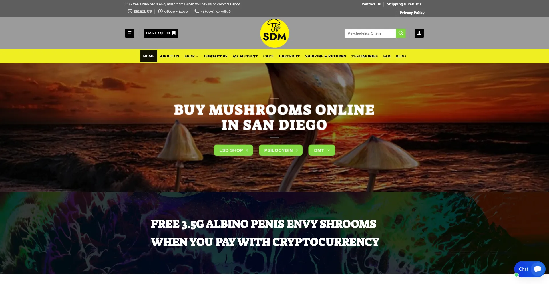 Website screenshot of Sandiegomushrooms.online