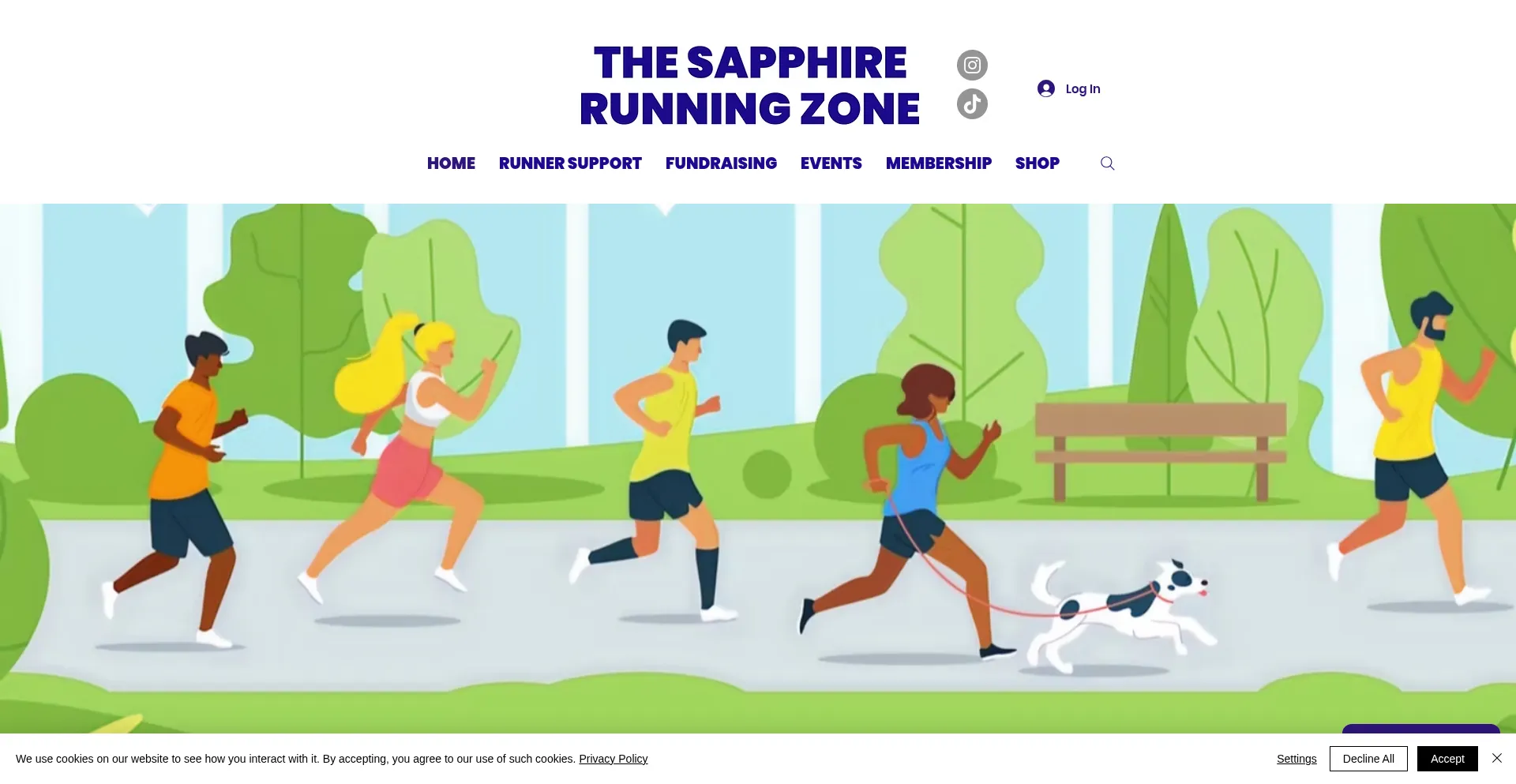 Website screenshot of Sapphirerunningzone.com