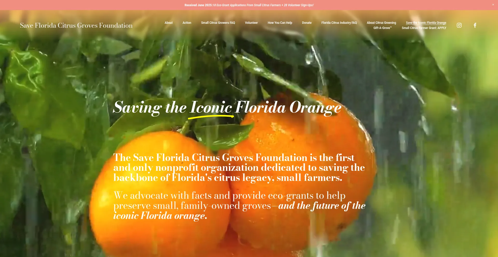 Website screenshot of Savefloridacitrus.org