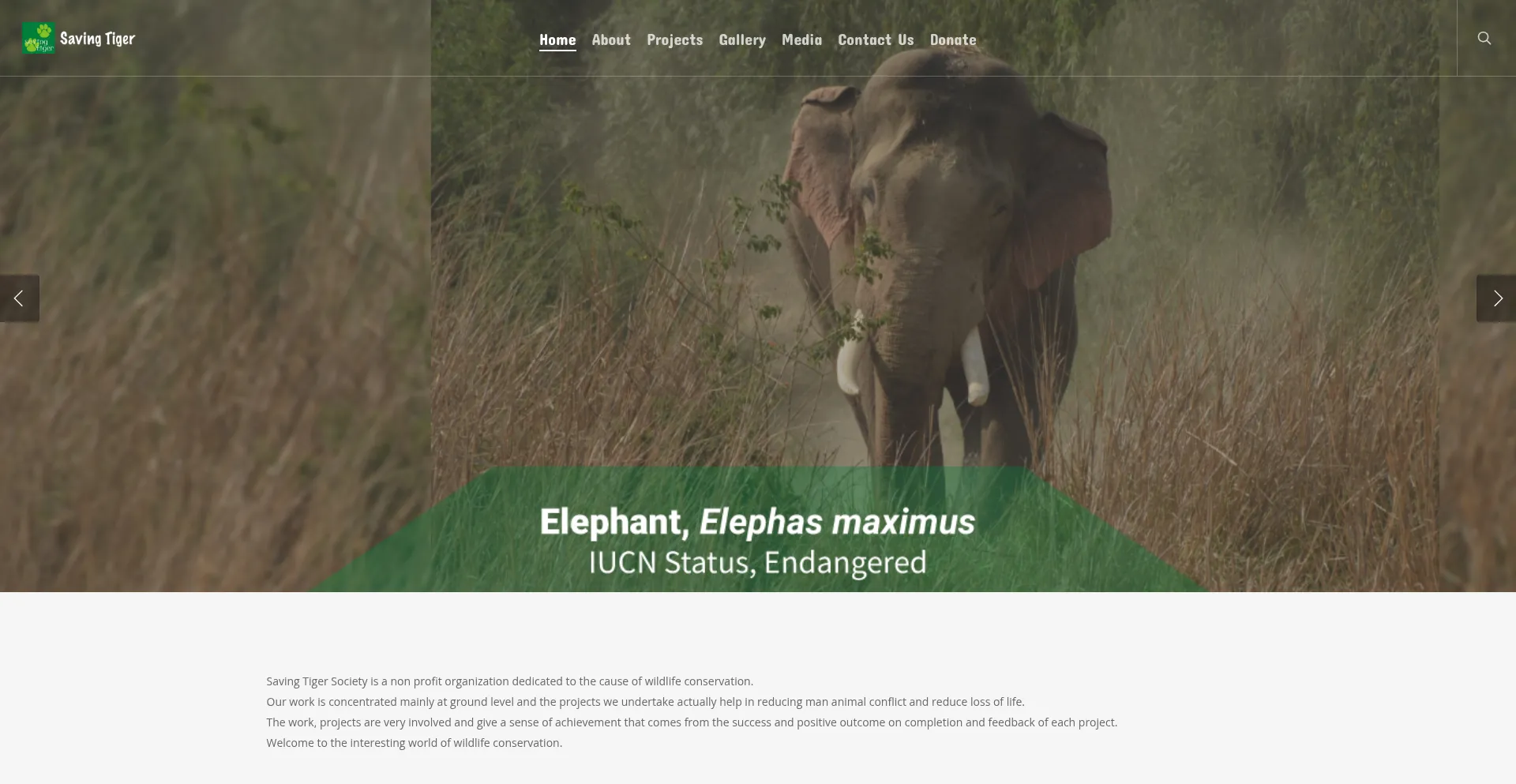 Website screenshot of Savingtiger.org
