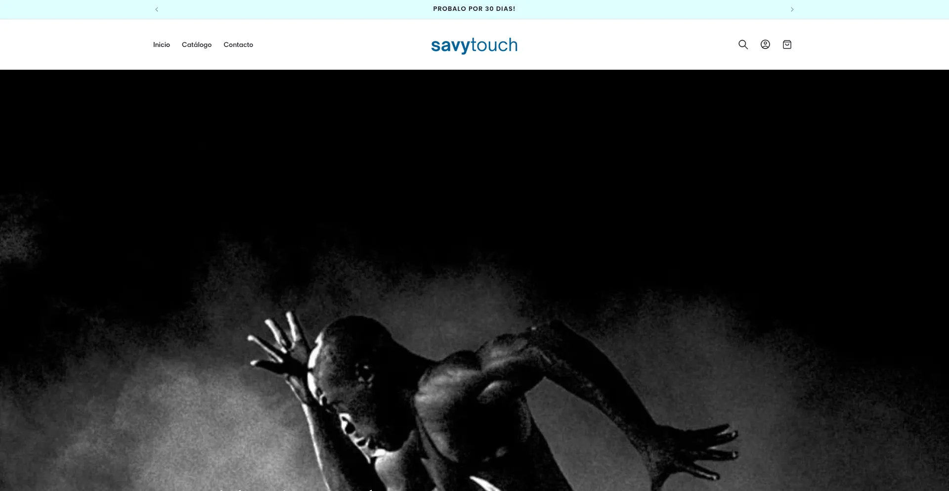 Website screenshot of Savytouch.com