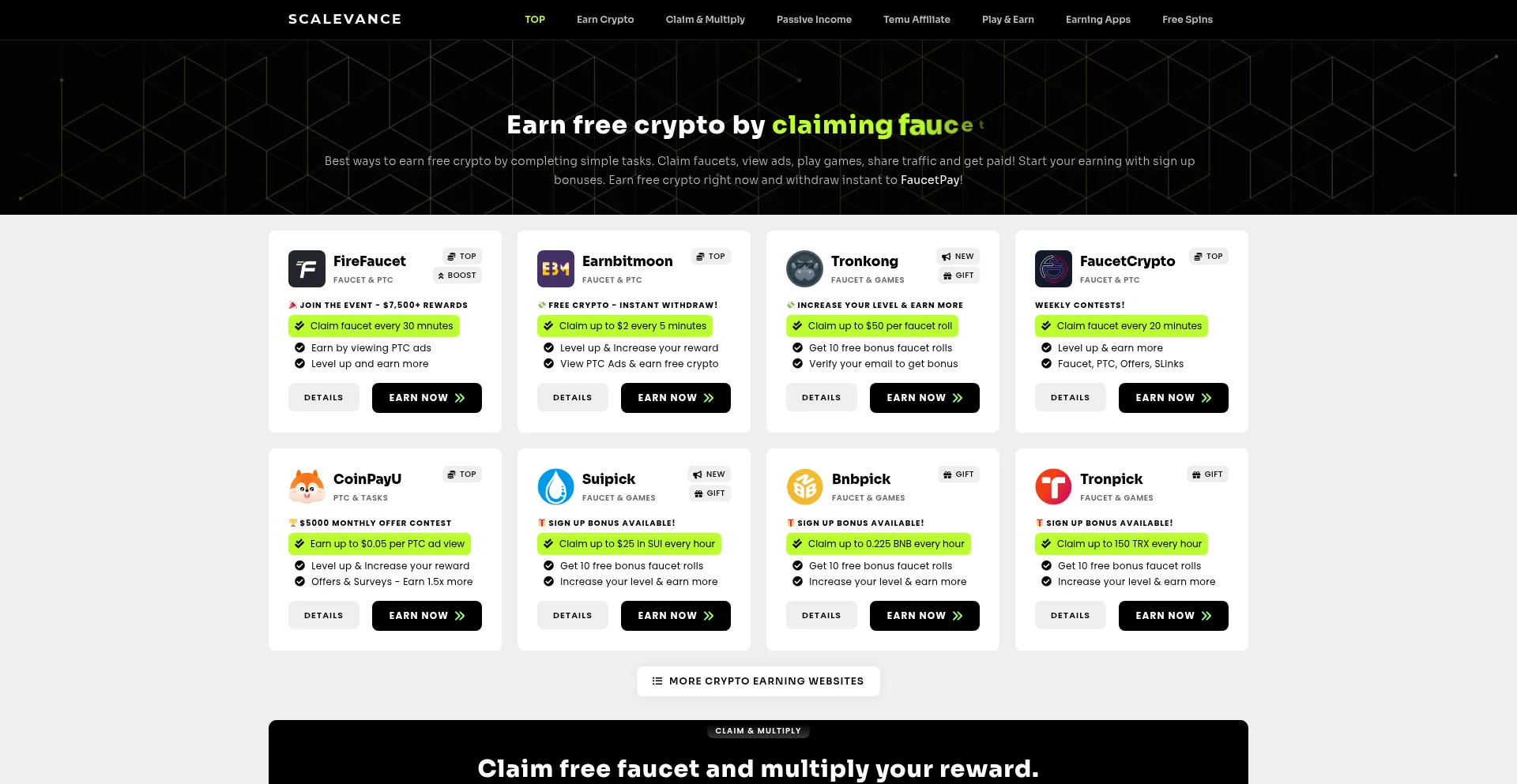 Website screenshot of Scalevance.net