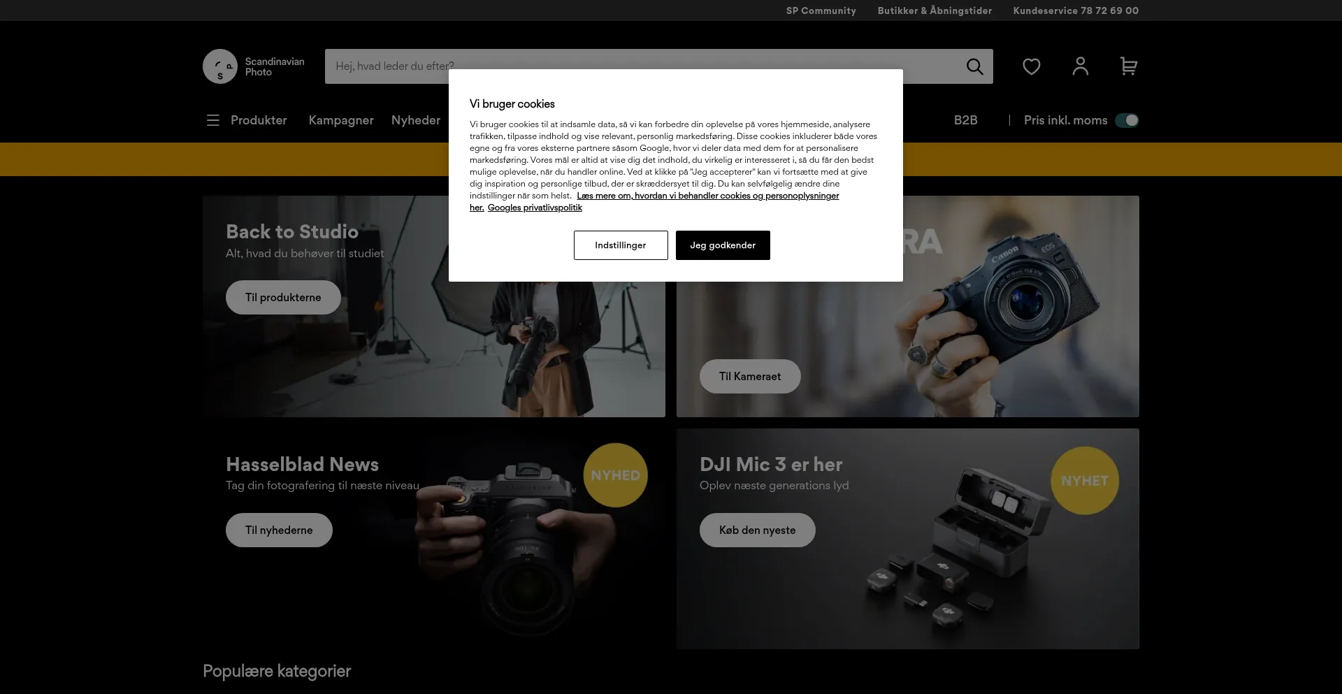 Website screenshot of Scandinavianphoto.dk