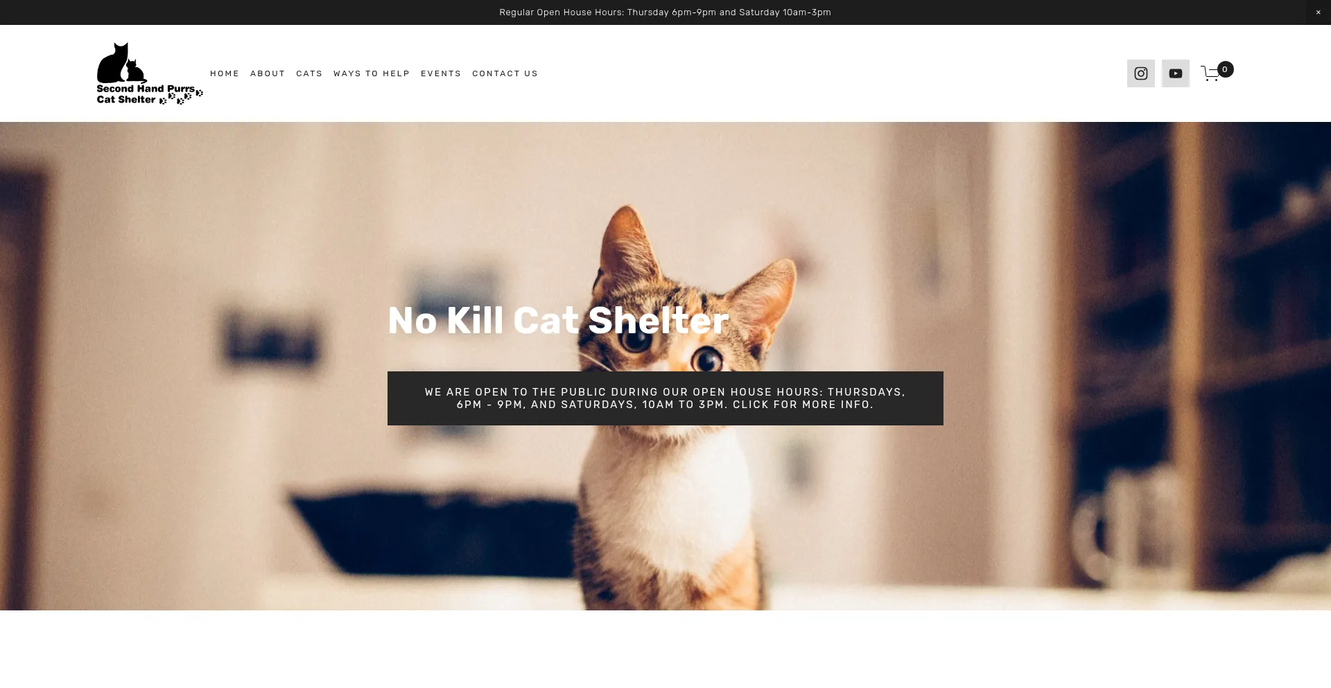 Website screenshot of Secondhandpurrs.org