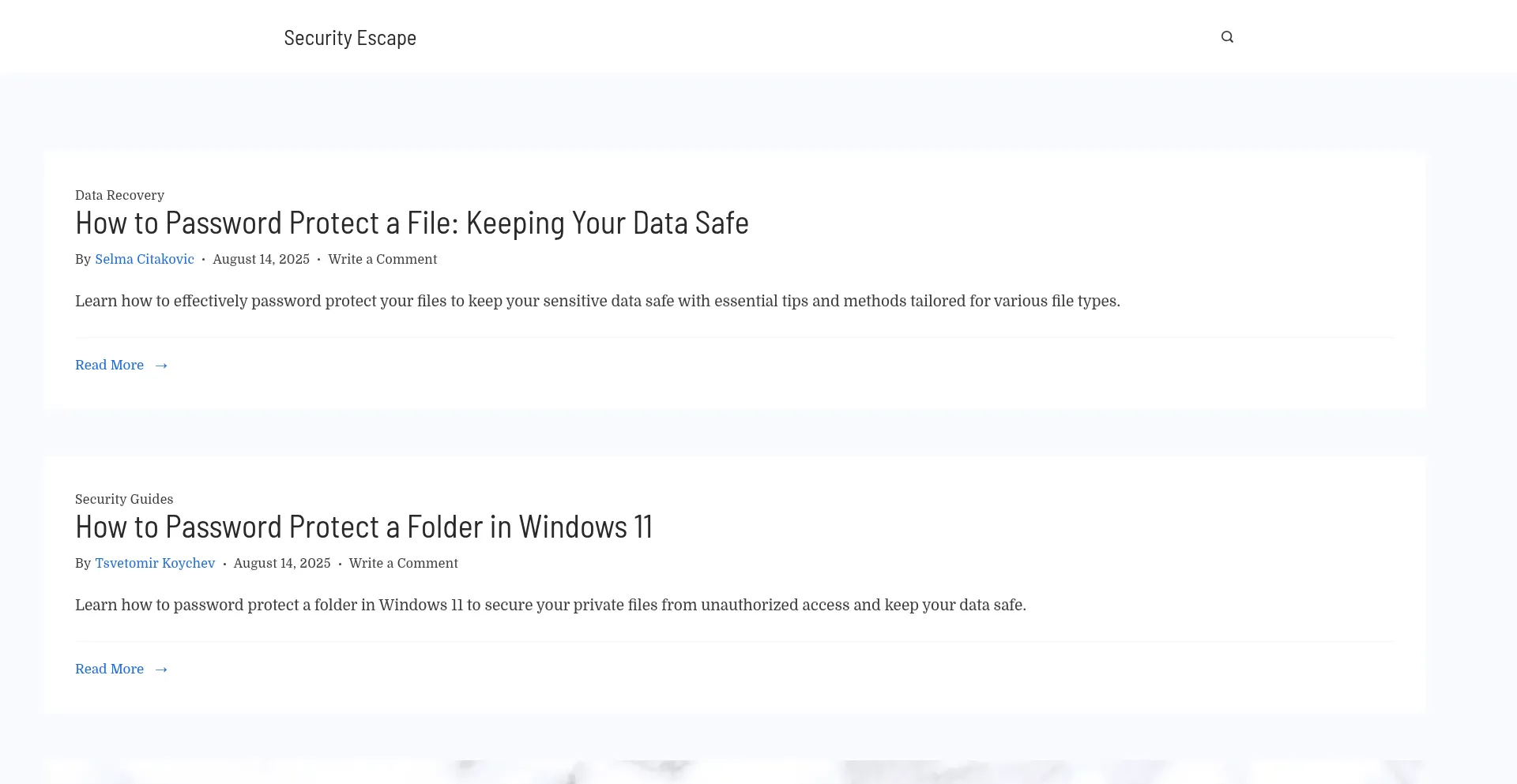 Website screenshot of Securityescape.com