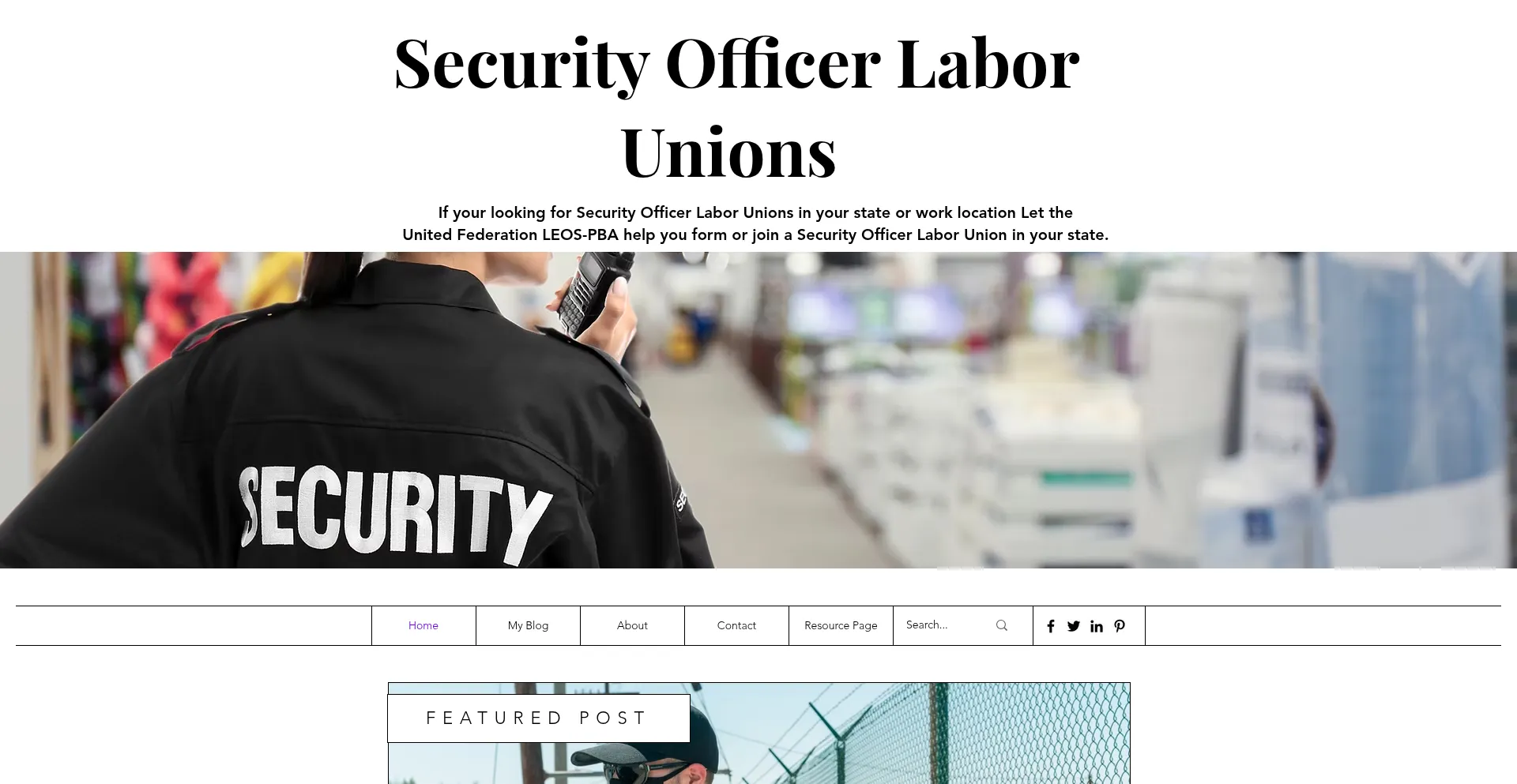 Website screenshot of Securityofficerlaborunions.com