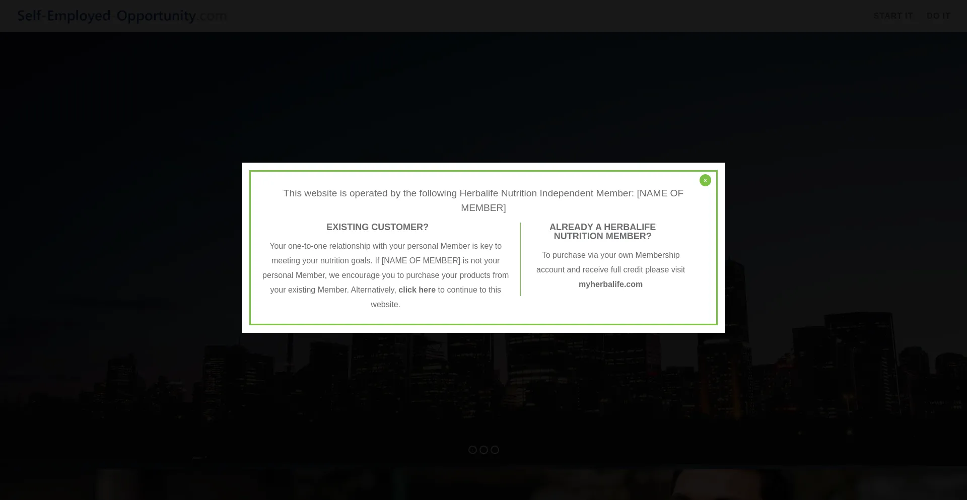 Website screenshot of Self-employed-opportunity.com