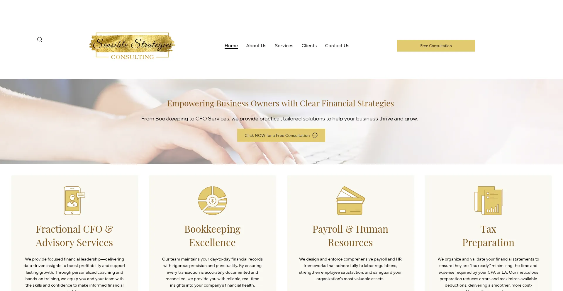 Sensiblestrategiesllc.com Screenshot