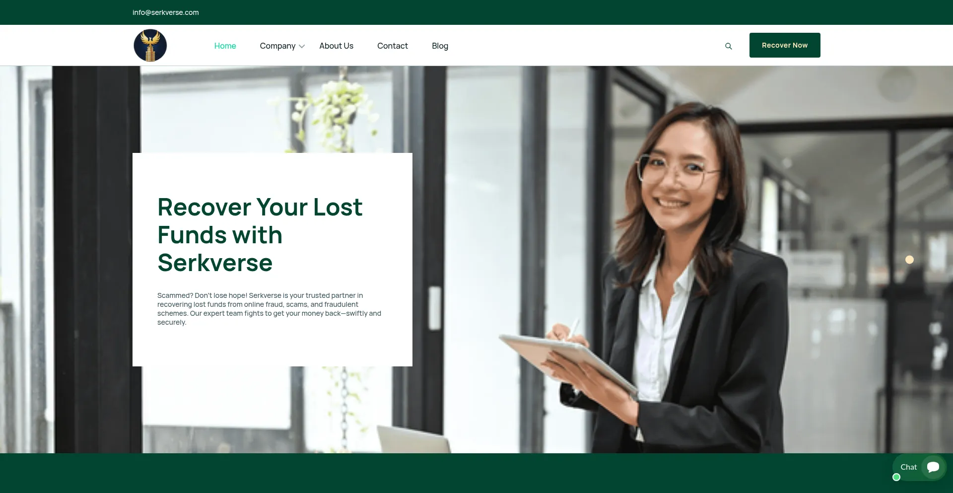 Website screenshot of Serkverse.com