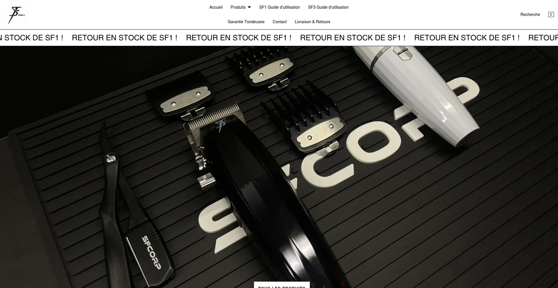 Website screenshot of Sfcorp.fr