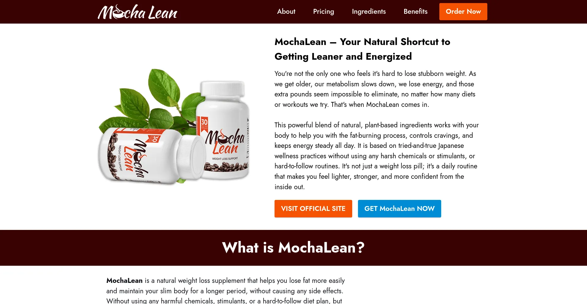 Website screenshot of Shop-mochalean.us