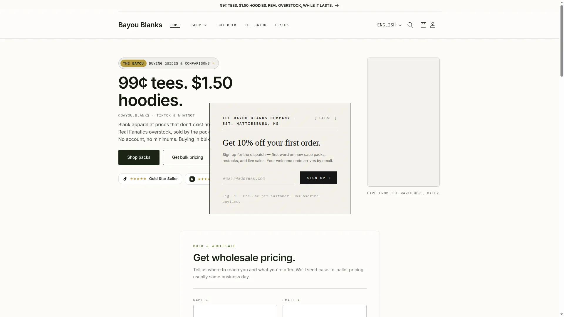 Shopbayoublanks.com