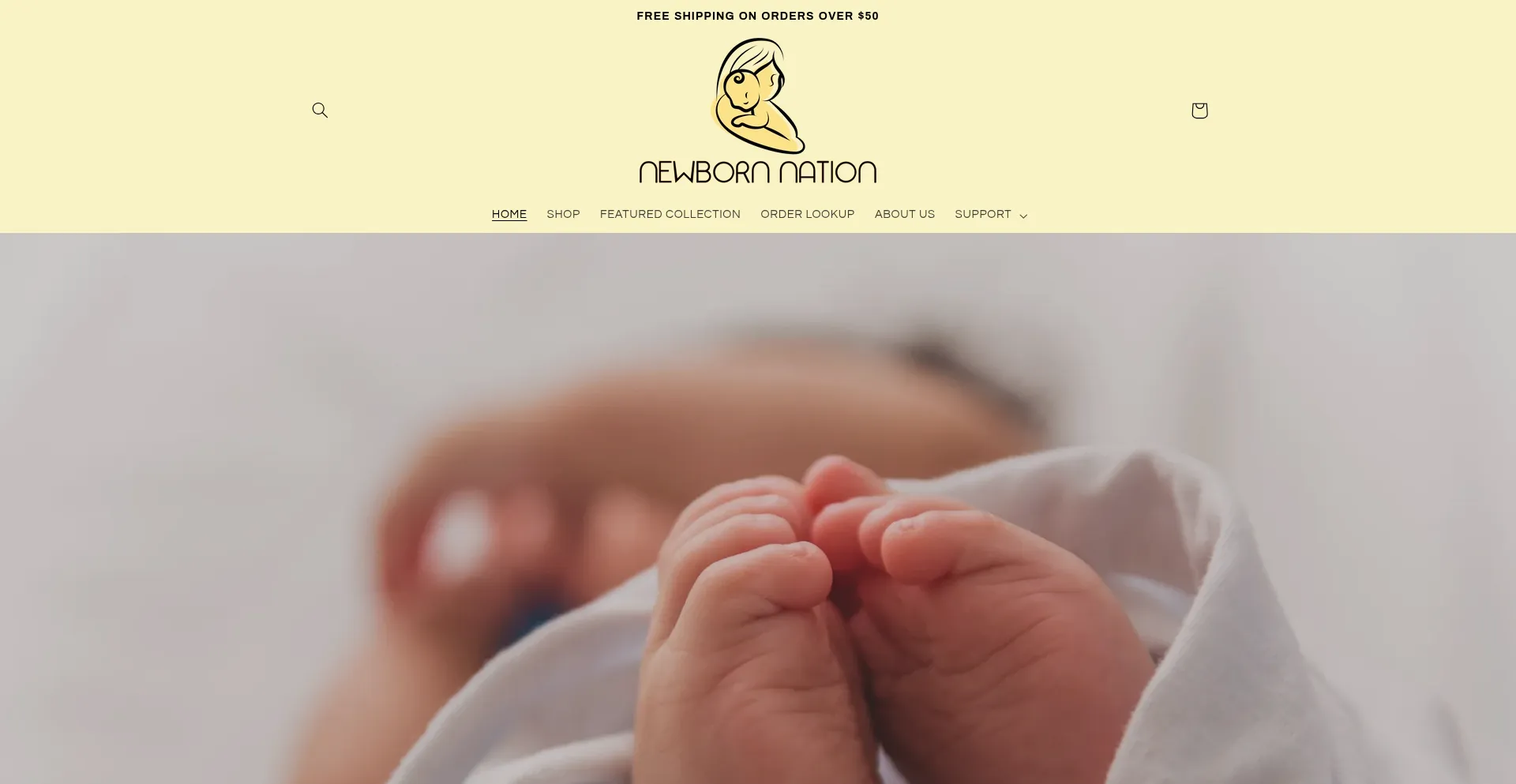 Website screenshot of Shopnewbornnation.com