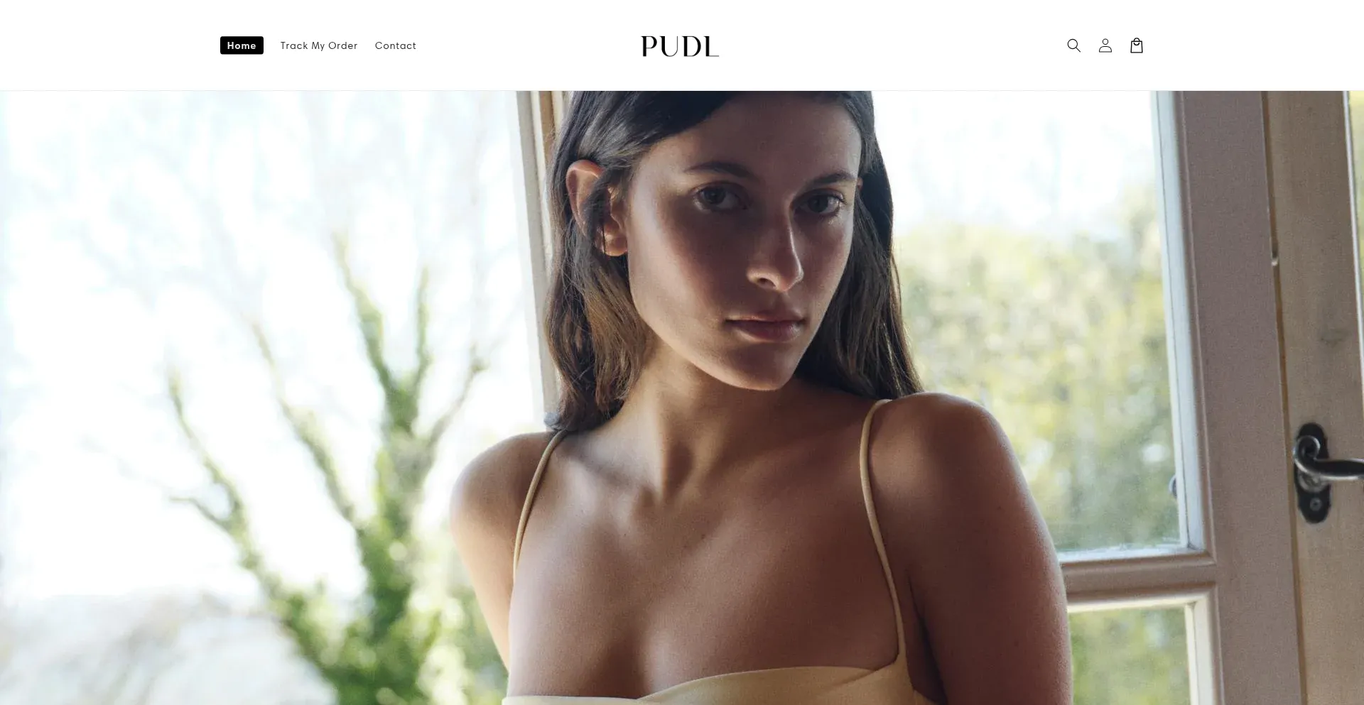 Website screenshot of Shoppudl.com