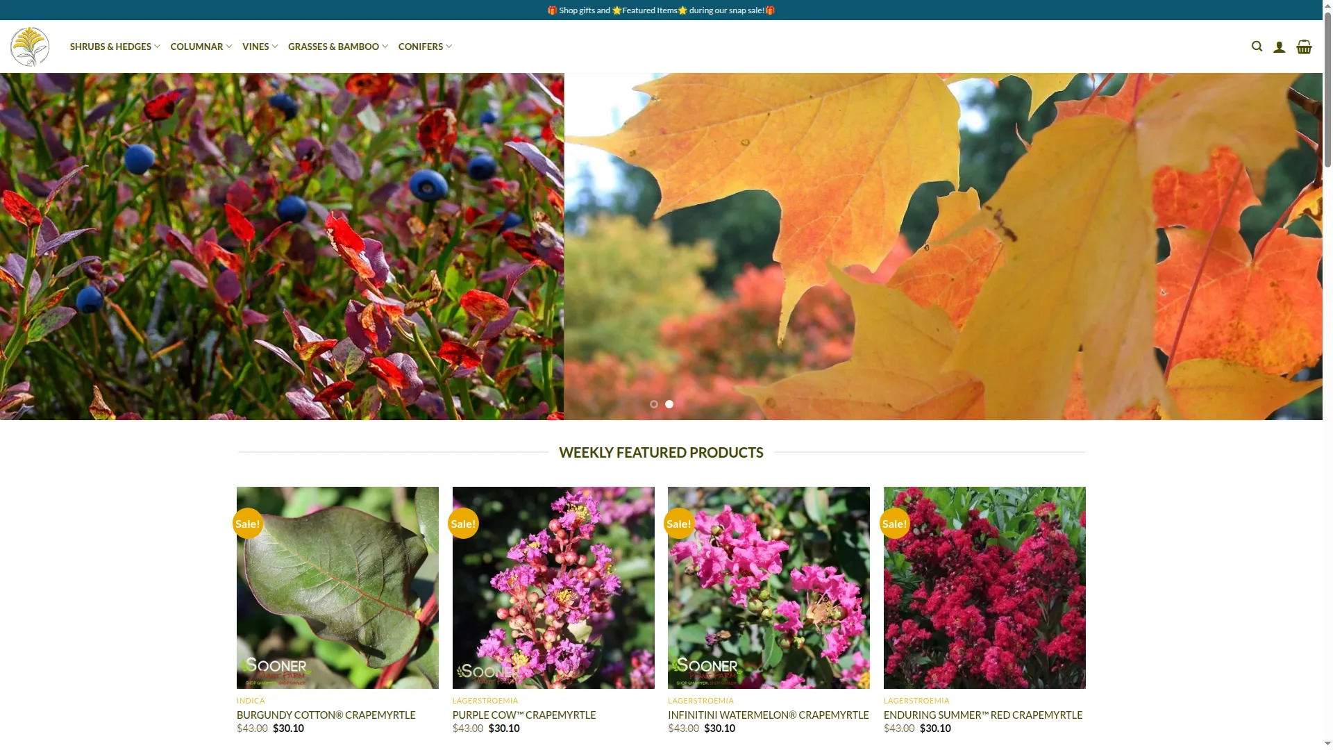 Shrubscentral.com