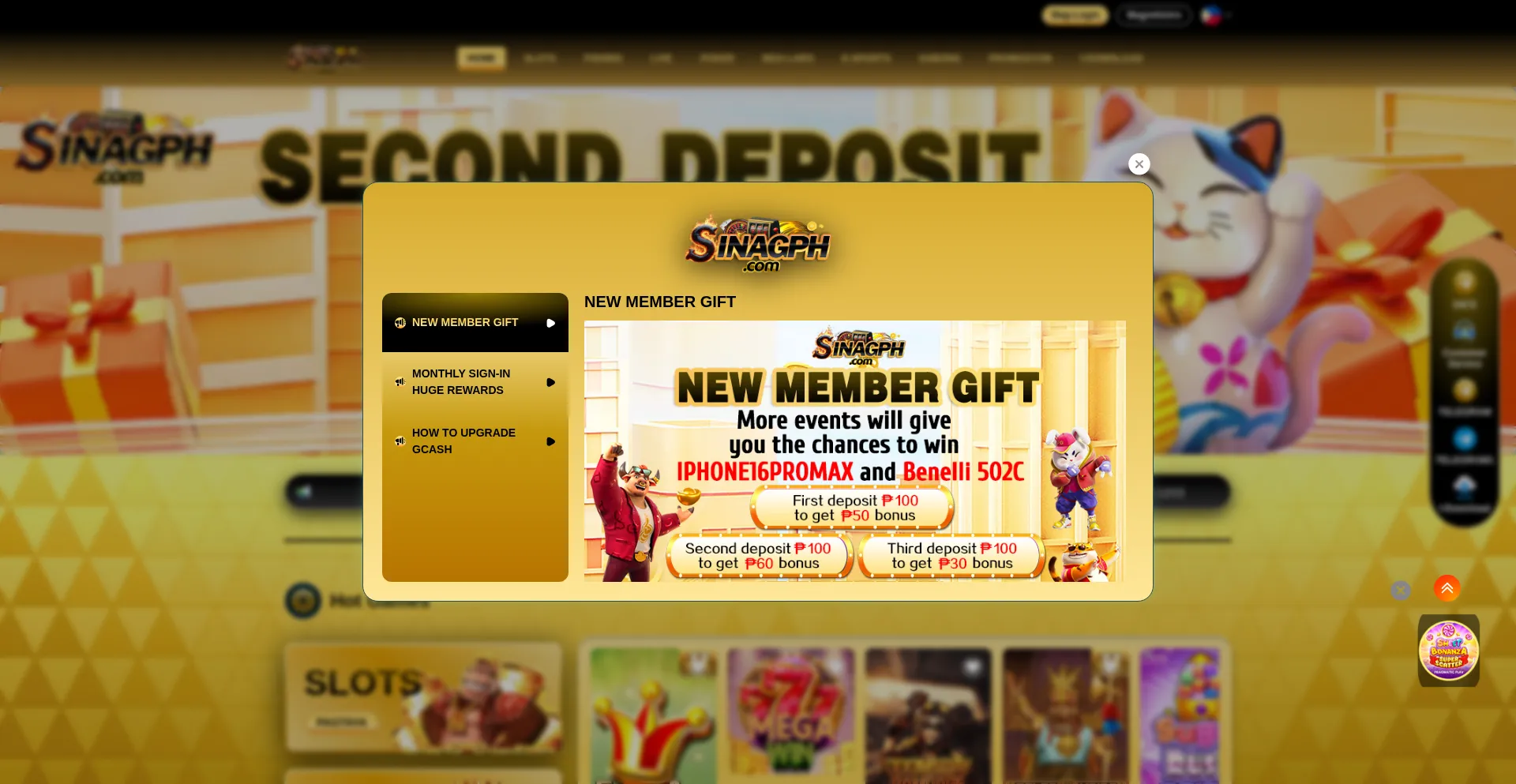 Website screenshot of Sinagph74.cc