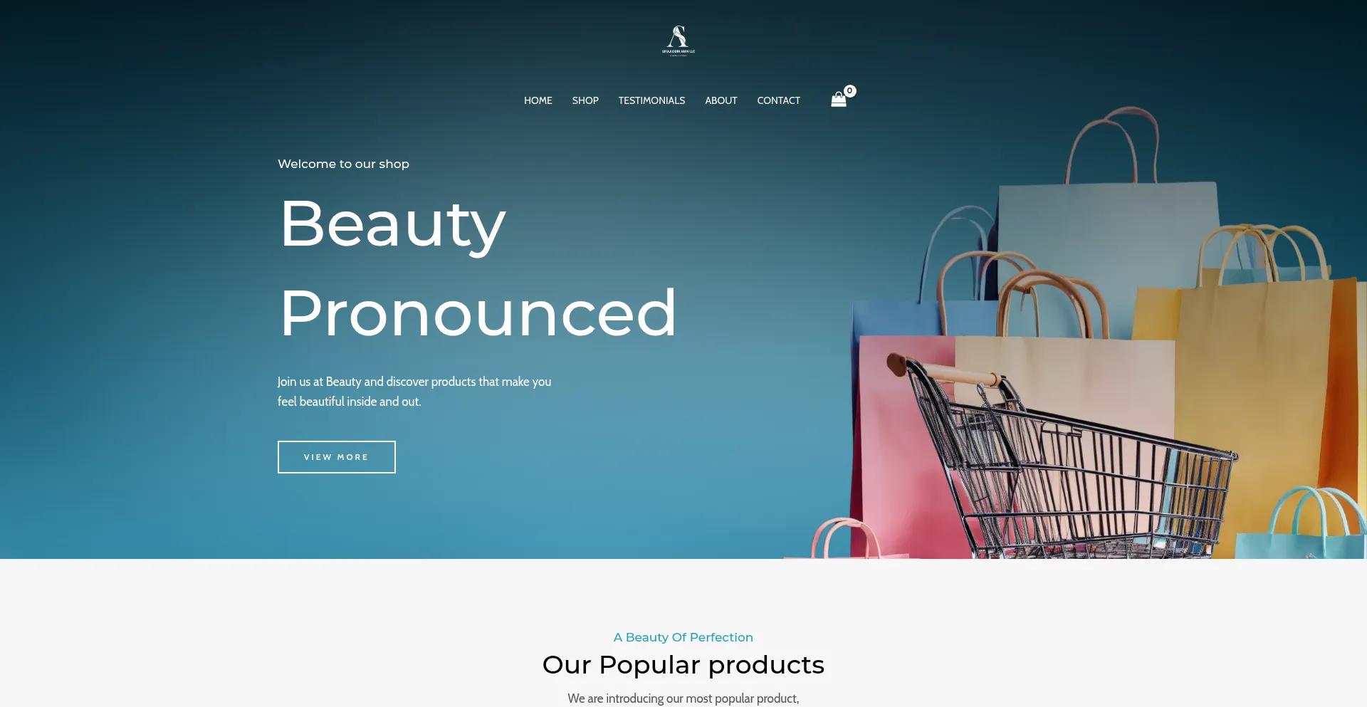 Sirajuddinaminllc.com