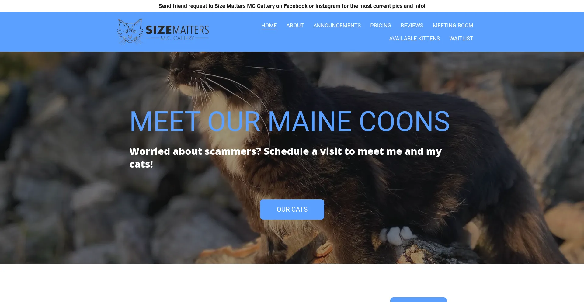 Sizemattersmccattery.com